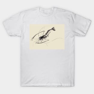 Shrimp T-Shirt